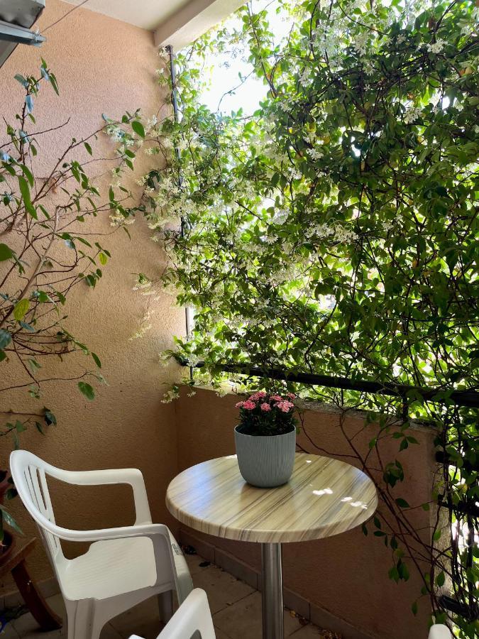 Apartmani Goran I Jelena Zec Budva Kültér fotó